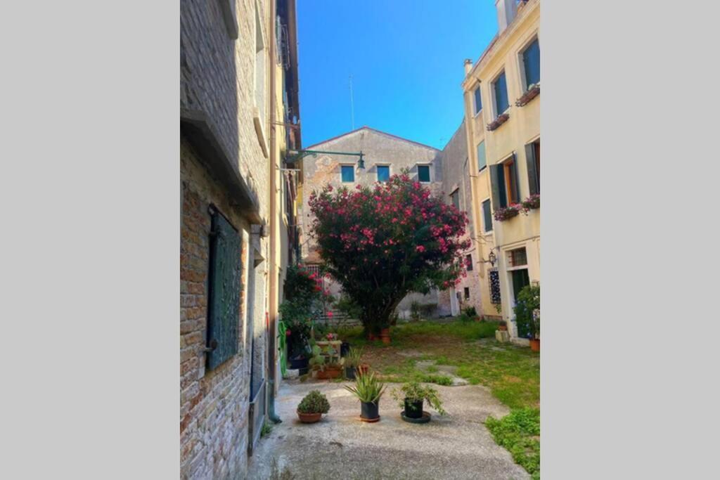 The Glamour Of San Marco Appartement *
